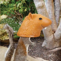 Big Head Squirrel Feeder